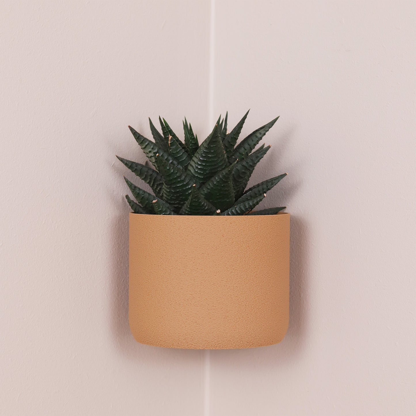 Caramel, 100mm
