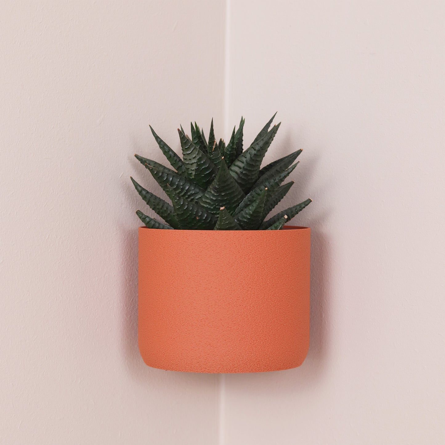 Terracotta, 100mm