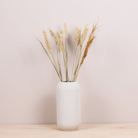 Soft White